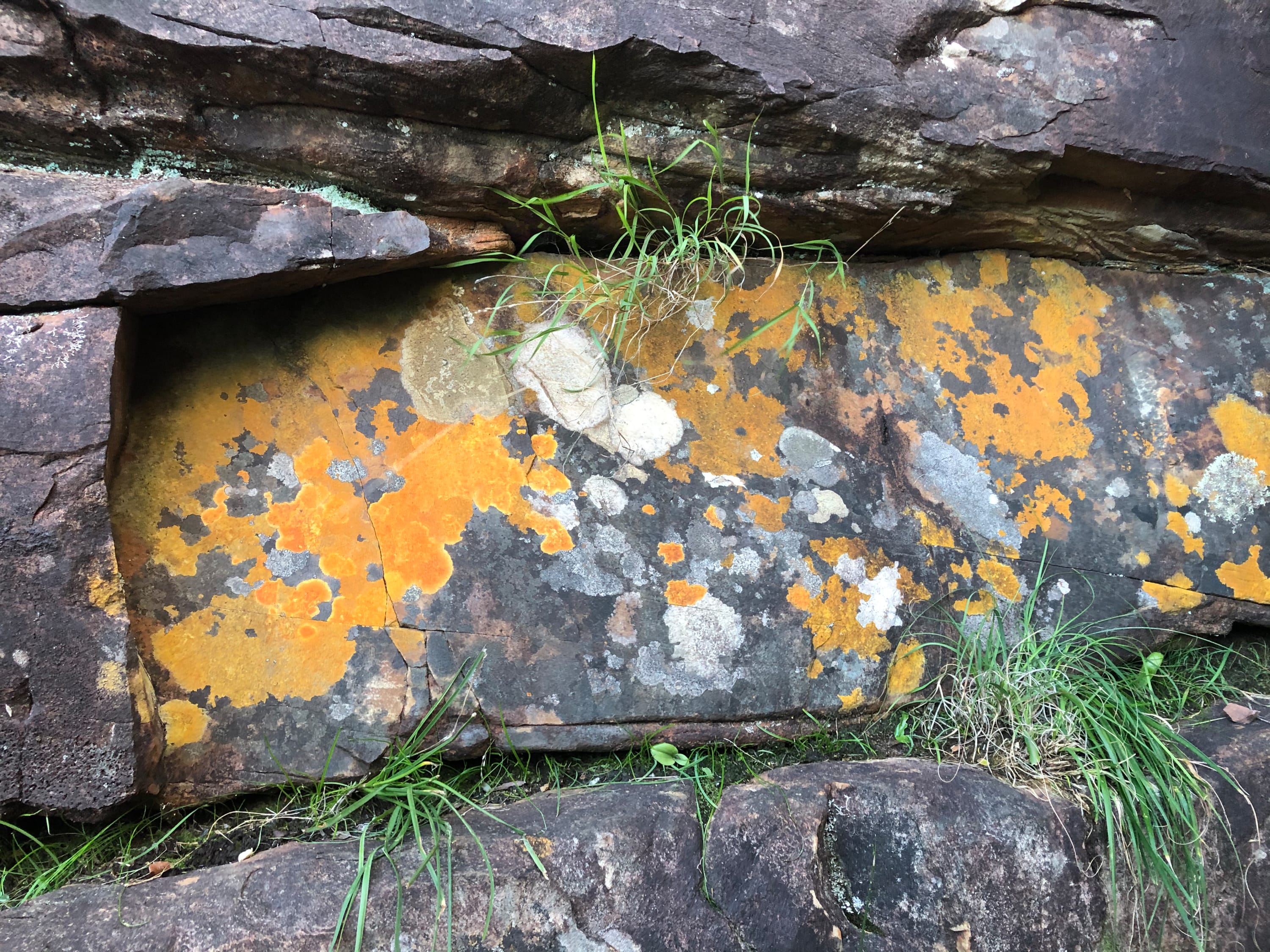 About Scott D.S. Young