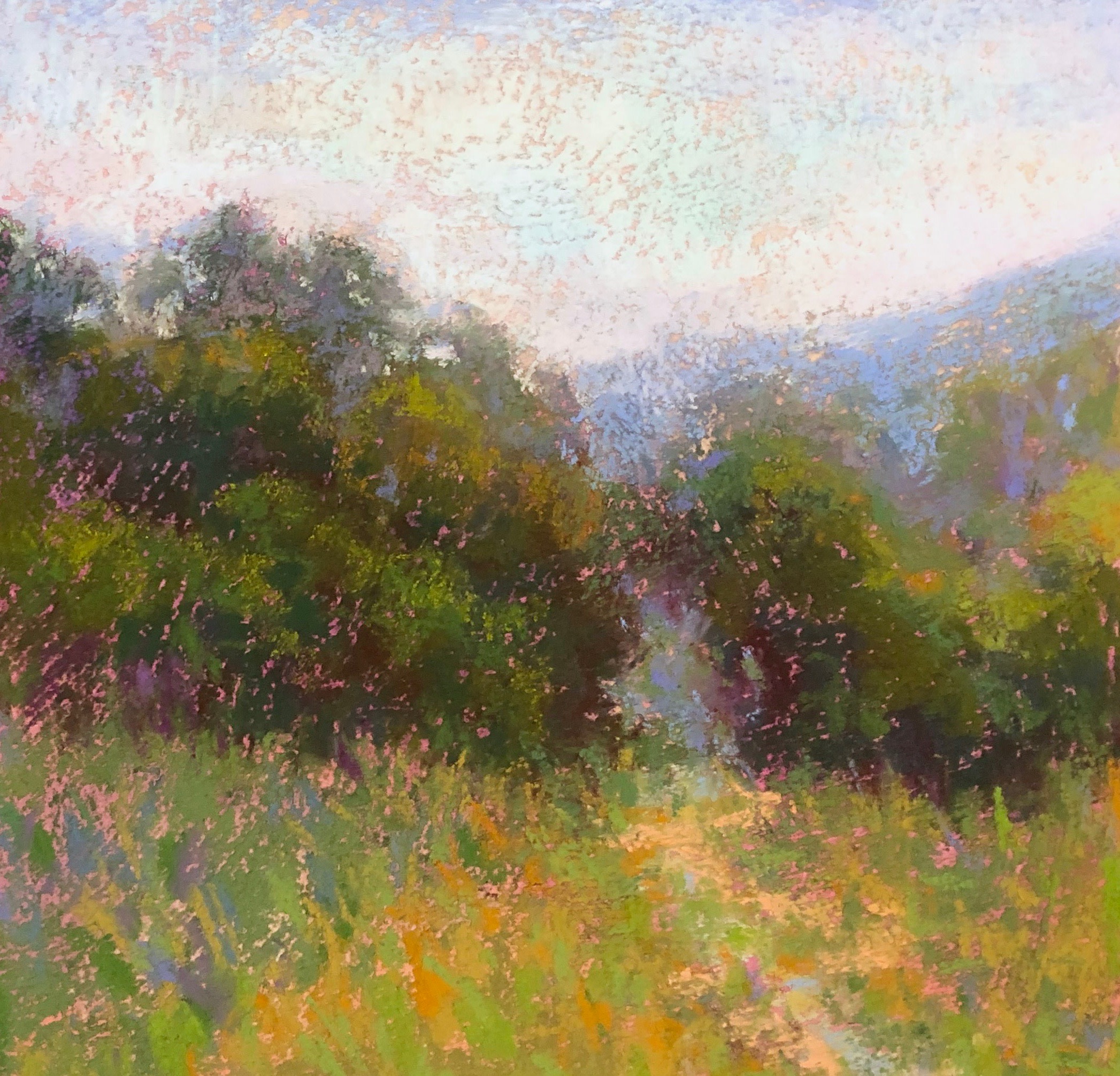 About Eden Compton Studio