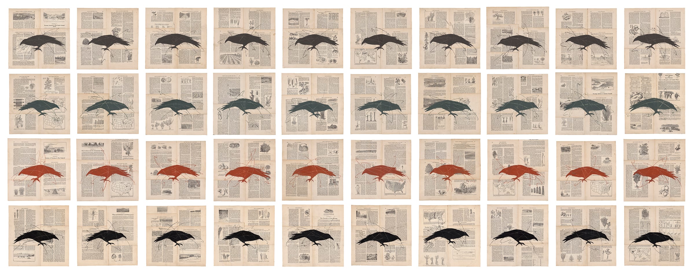 About Louise Laplante