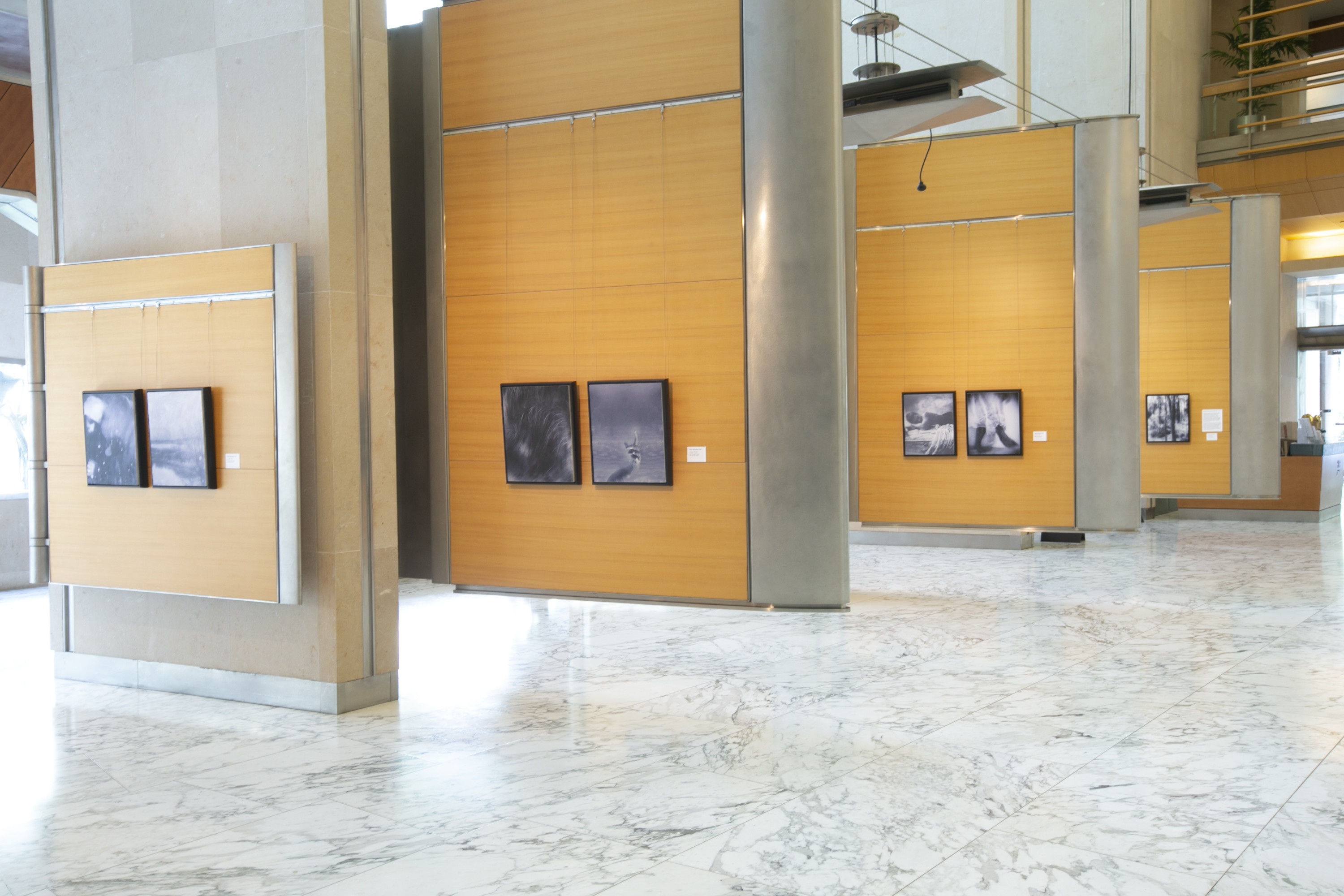 About Diana Nicholette Jeon