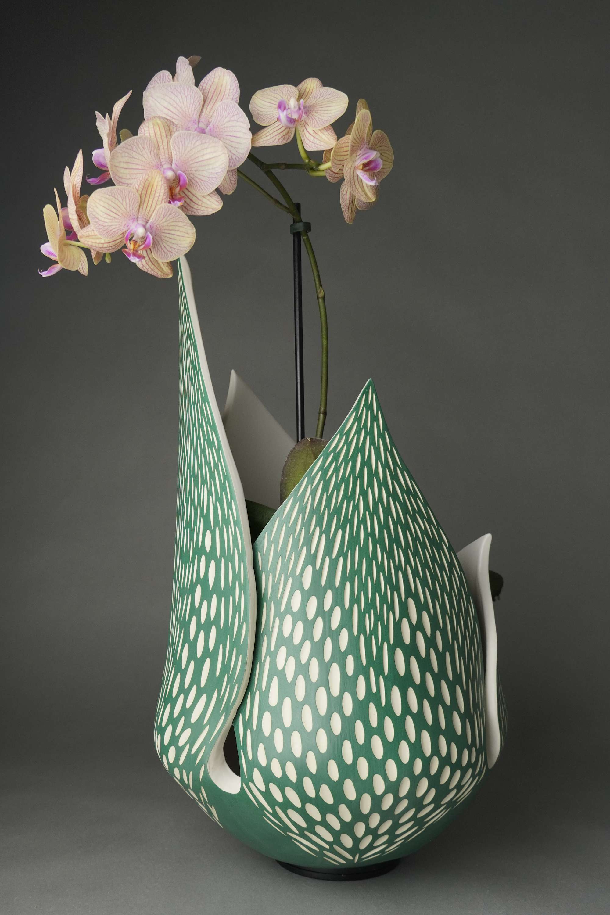 About Lisette Cedeno