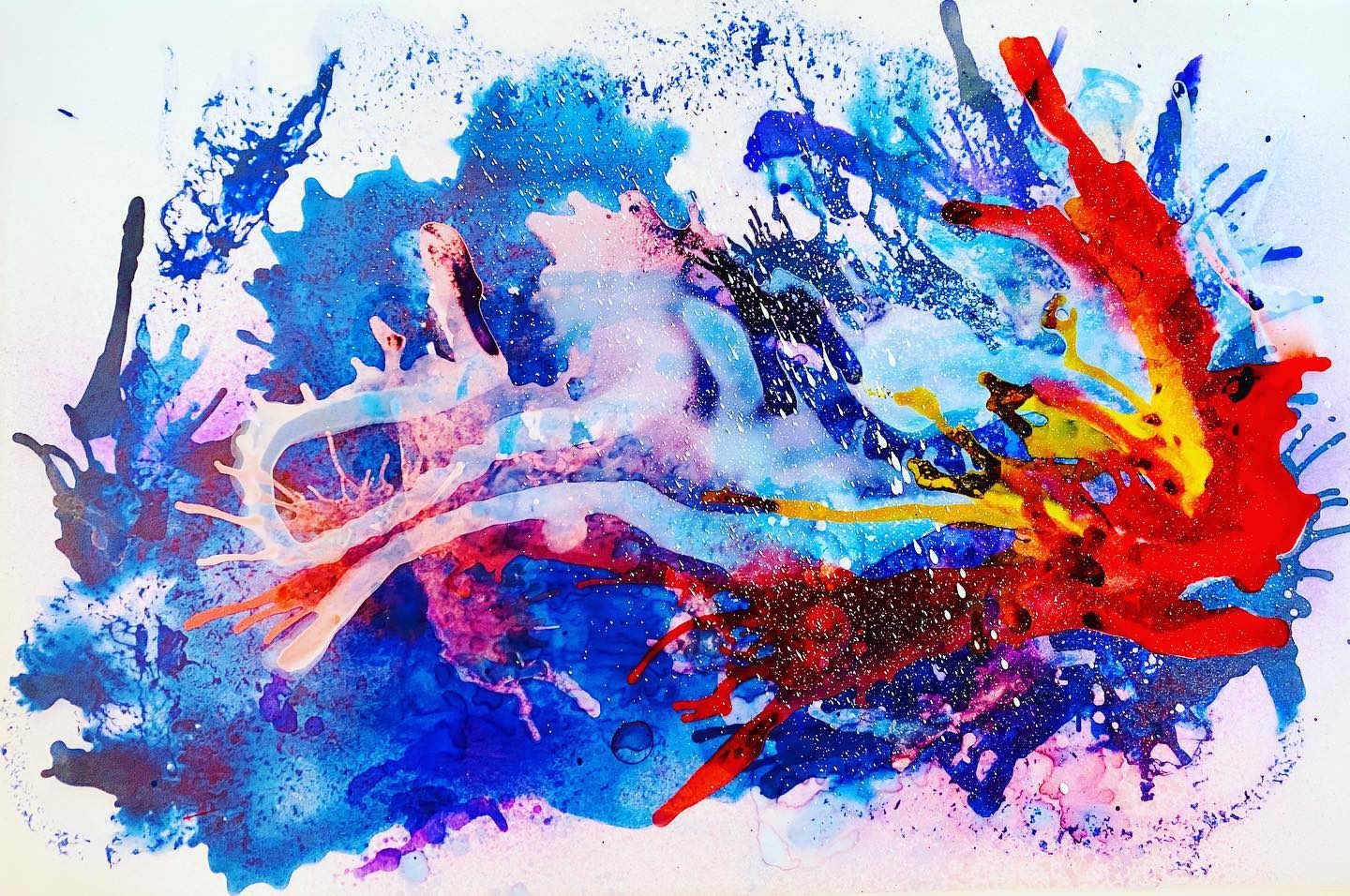 About Ashleigh Abbott