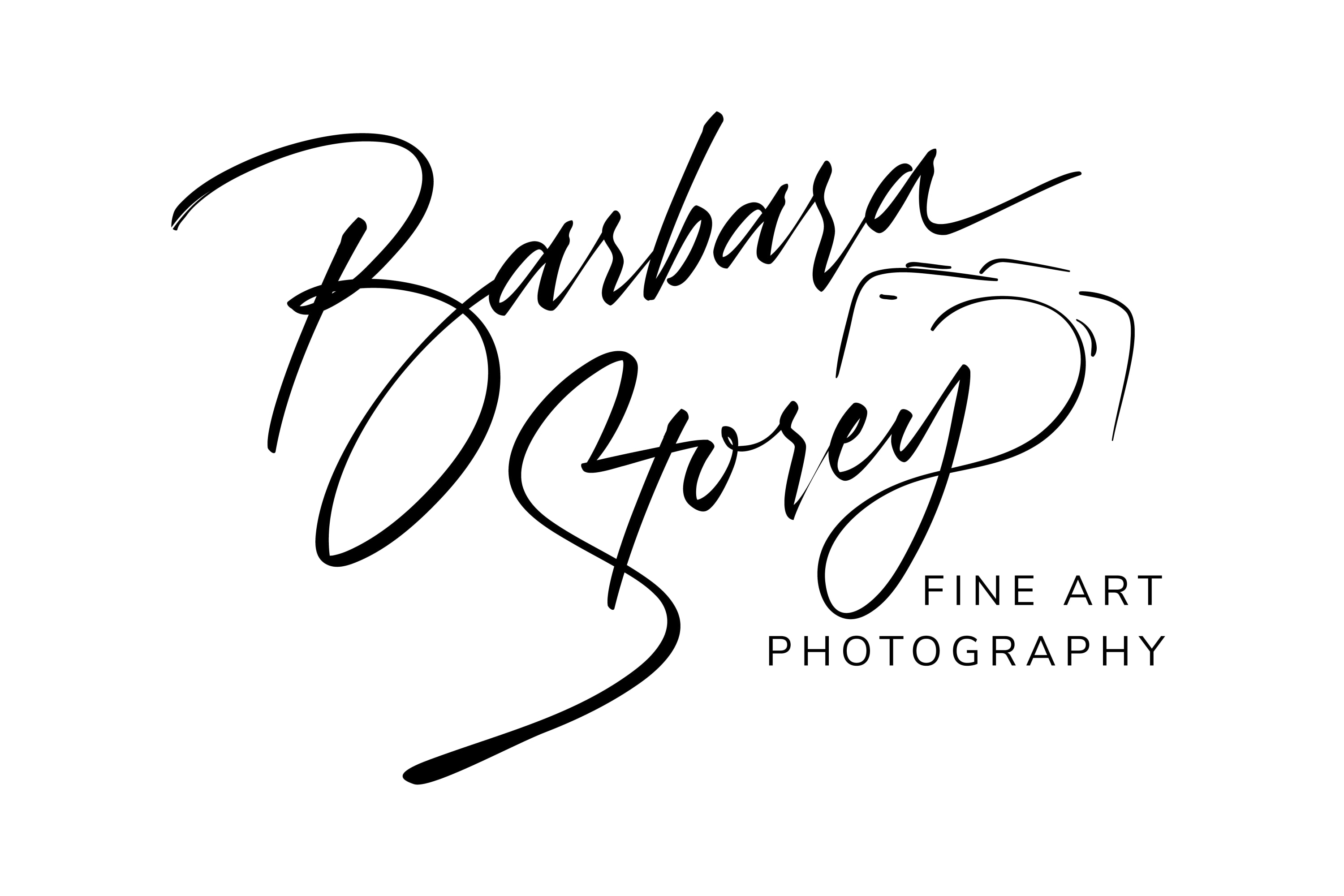 About Barbara Storey