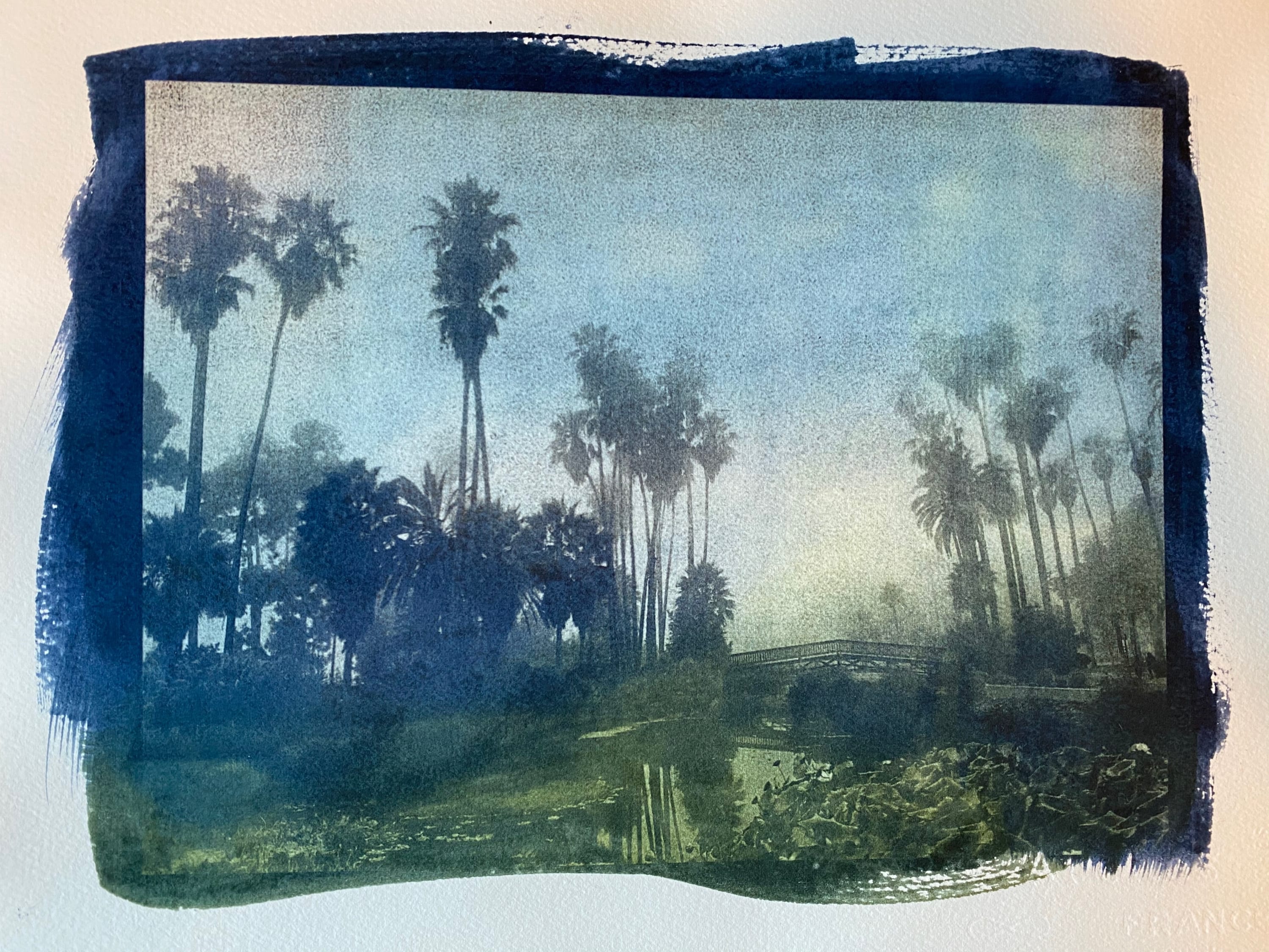 About Krista Machovina