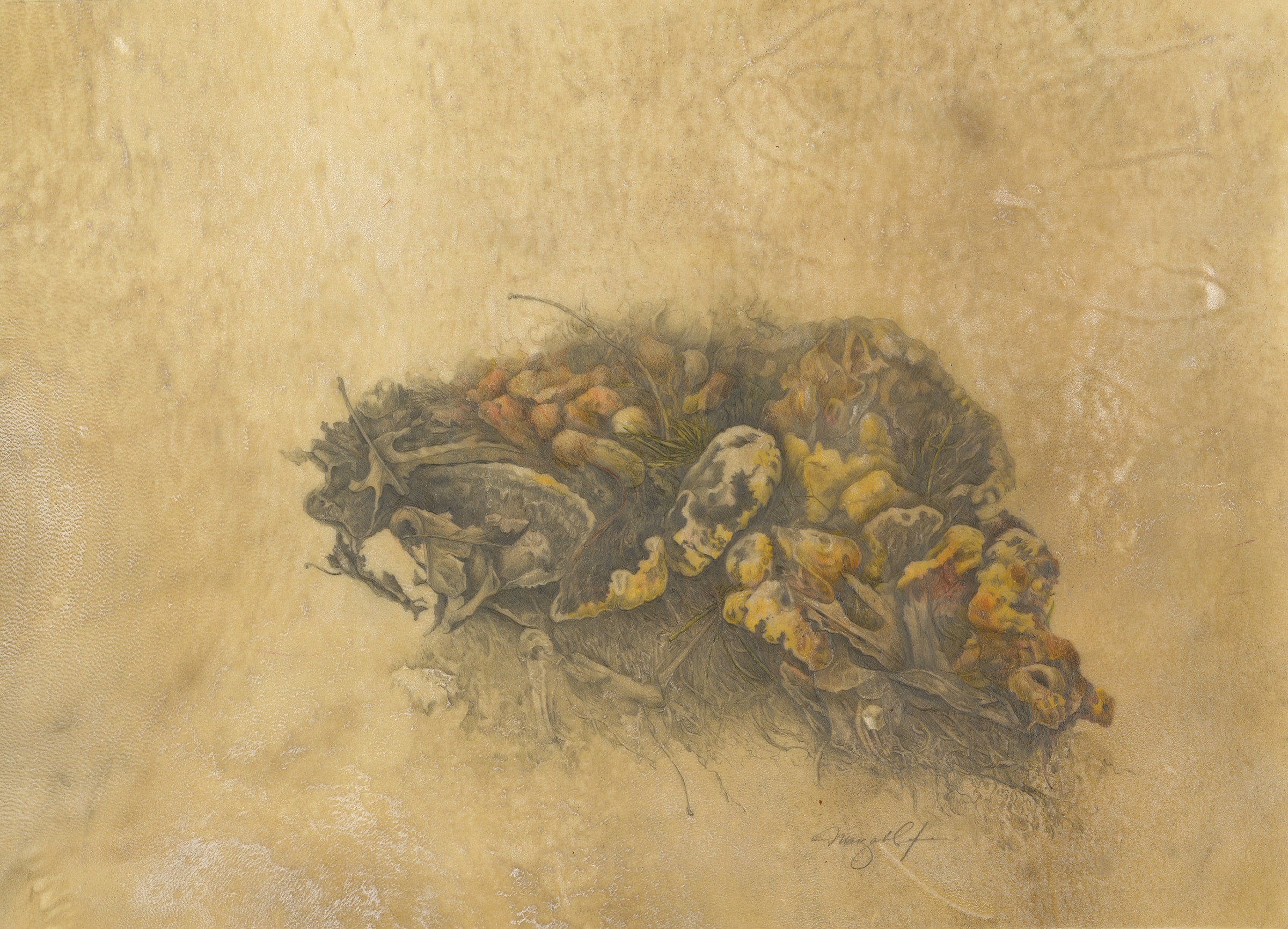 About Margaret Saylor