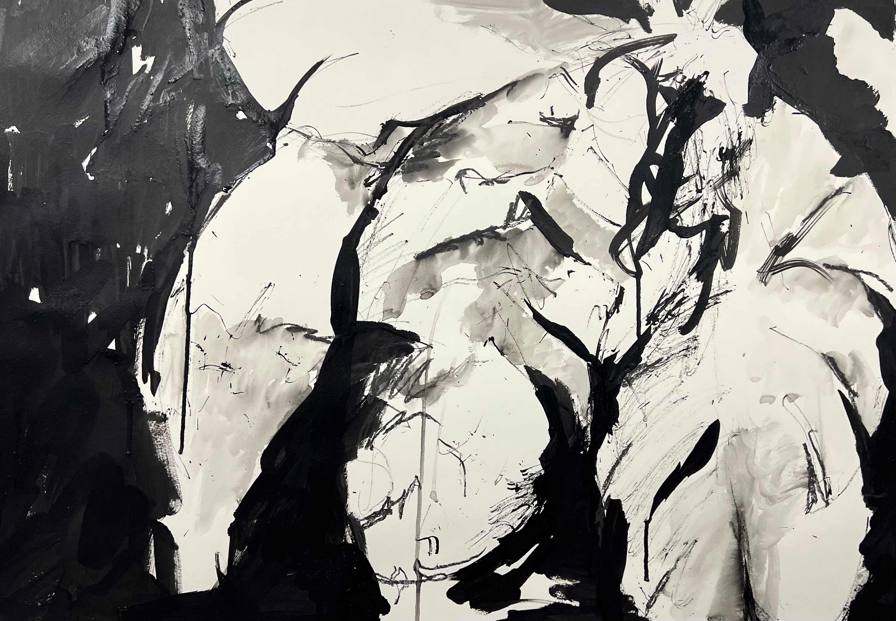 About Astrid Steingrueber