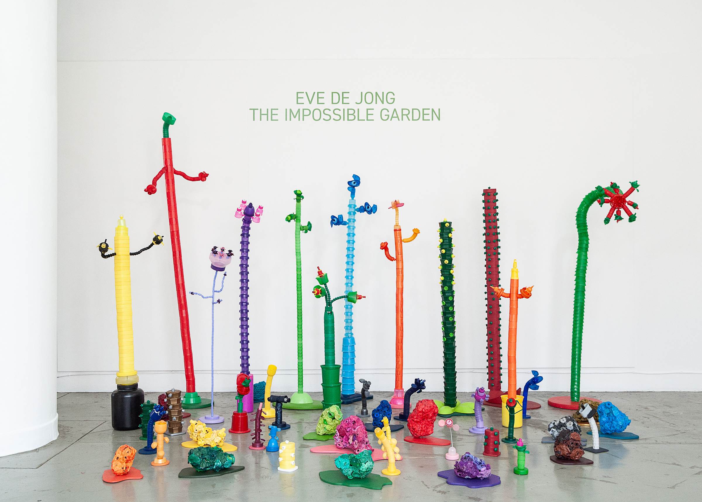 About Eve De Jong