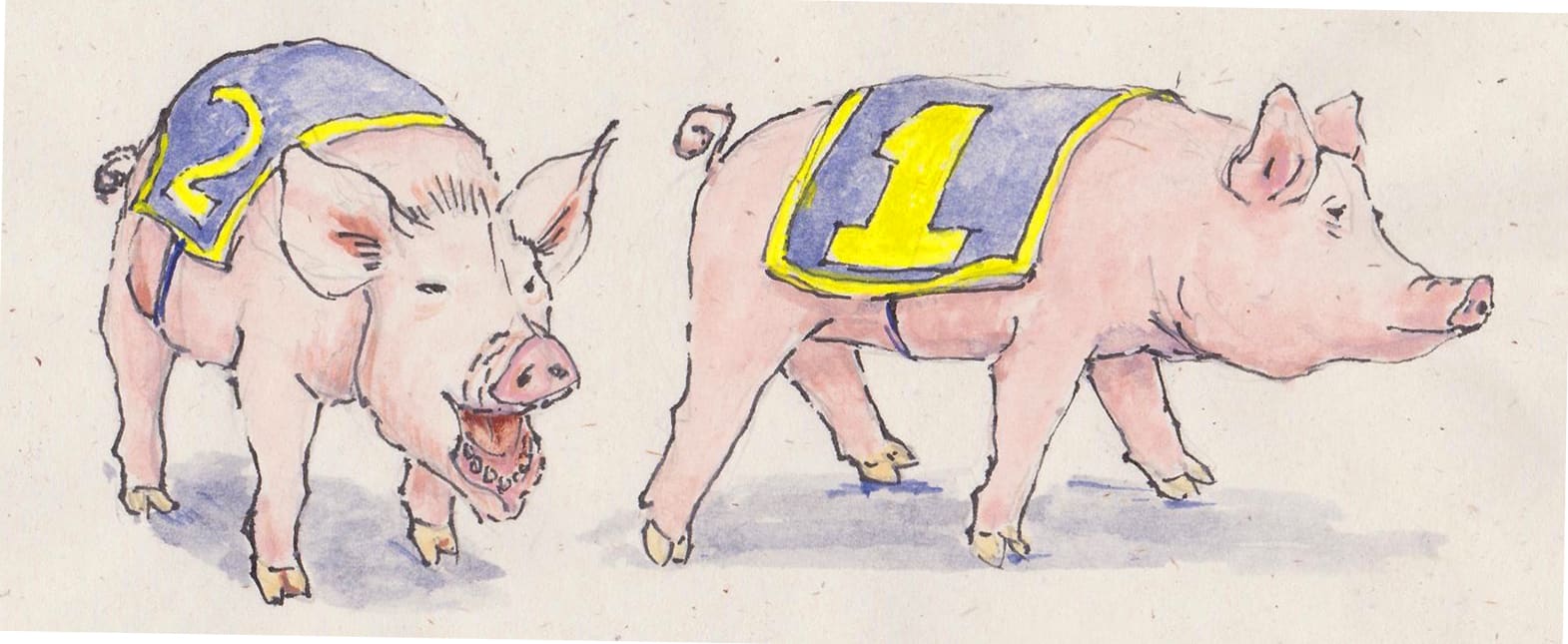 About Elizabeth Stathis