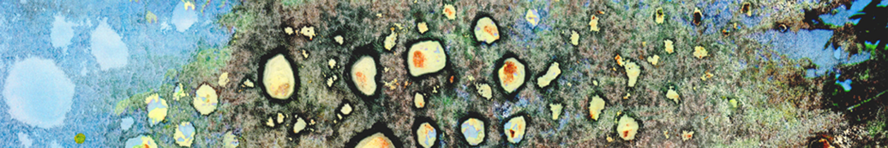 About Kayann Ausherman