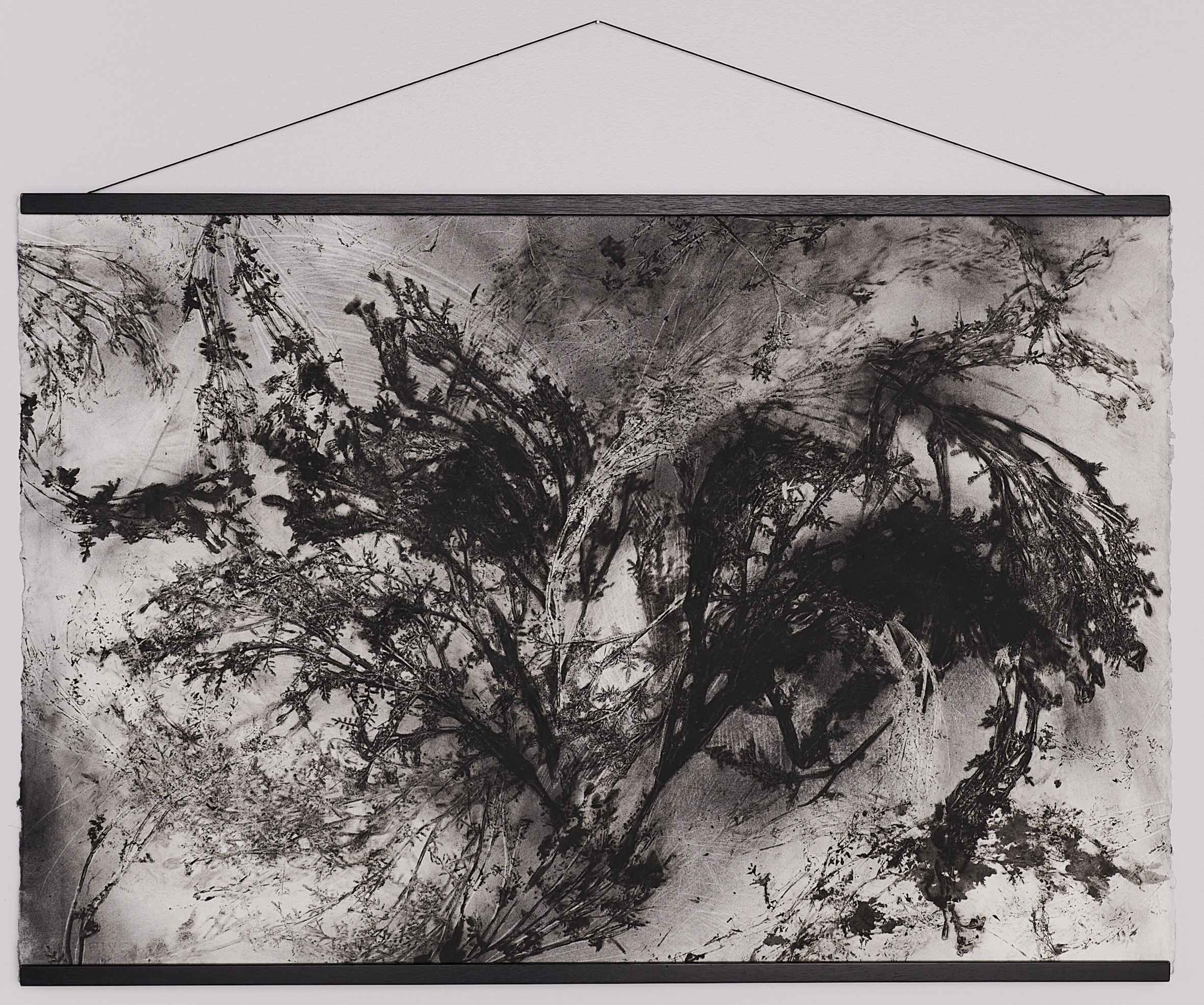 About Jamie Lee Ohland