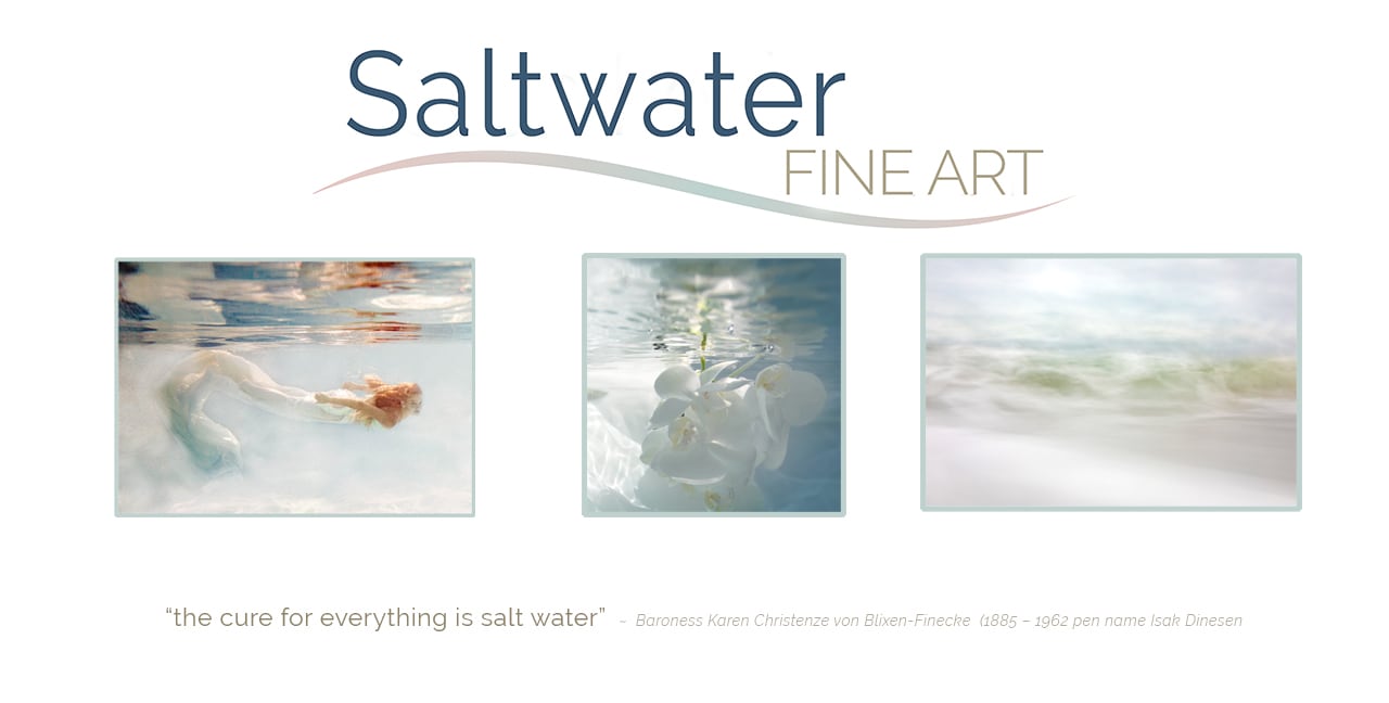 About Saltwater Fine Art | Susan J Roche, artist & curator