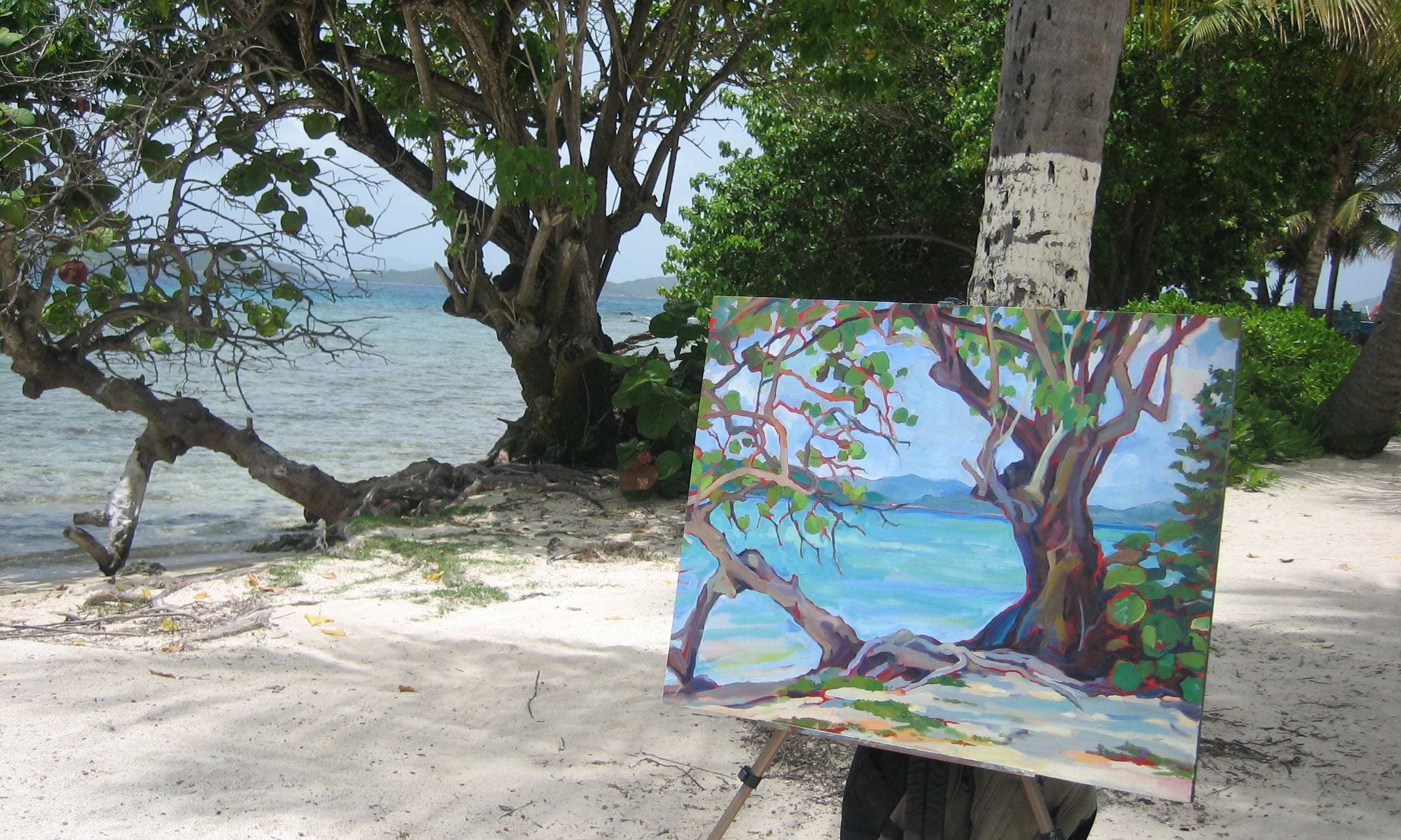 About Brenda M. Sylvia