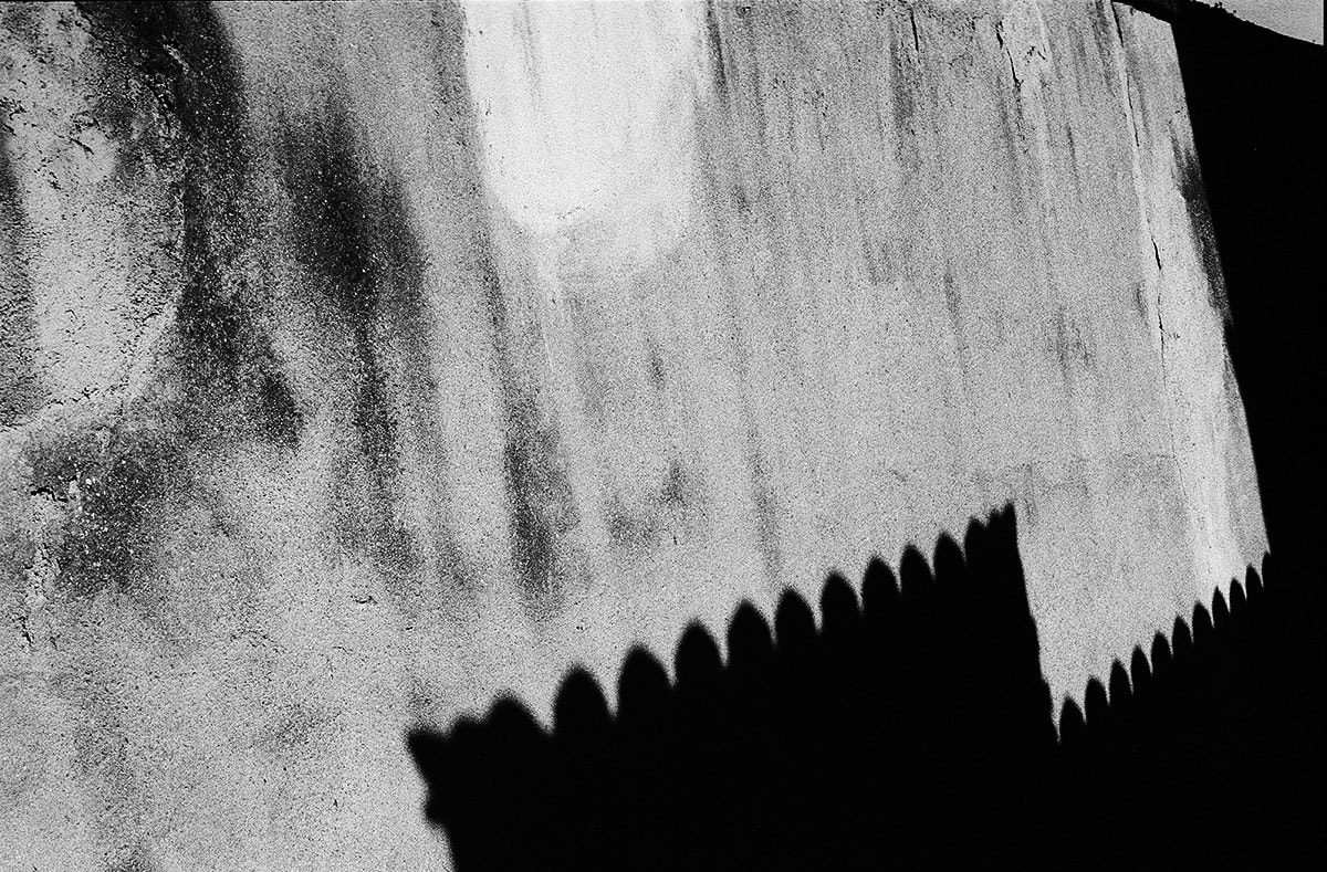 About Michael Benari