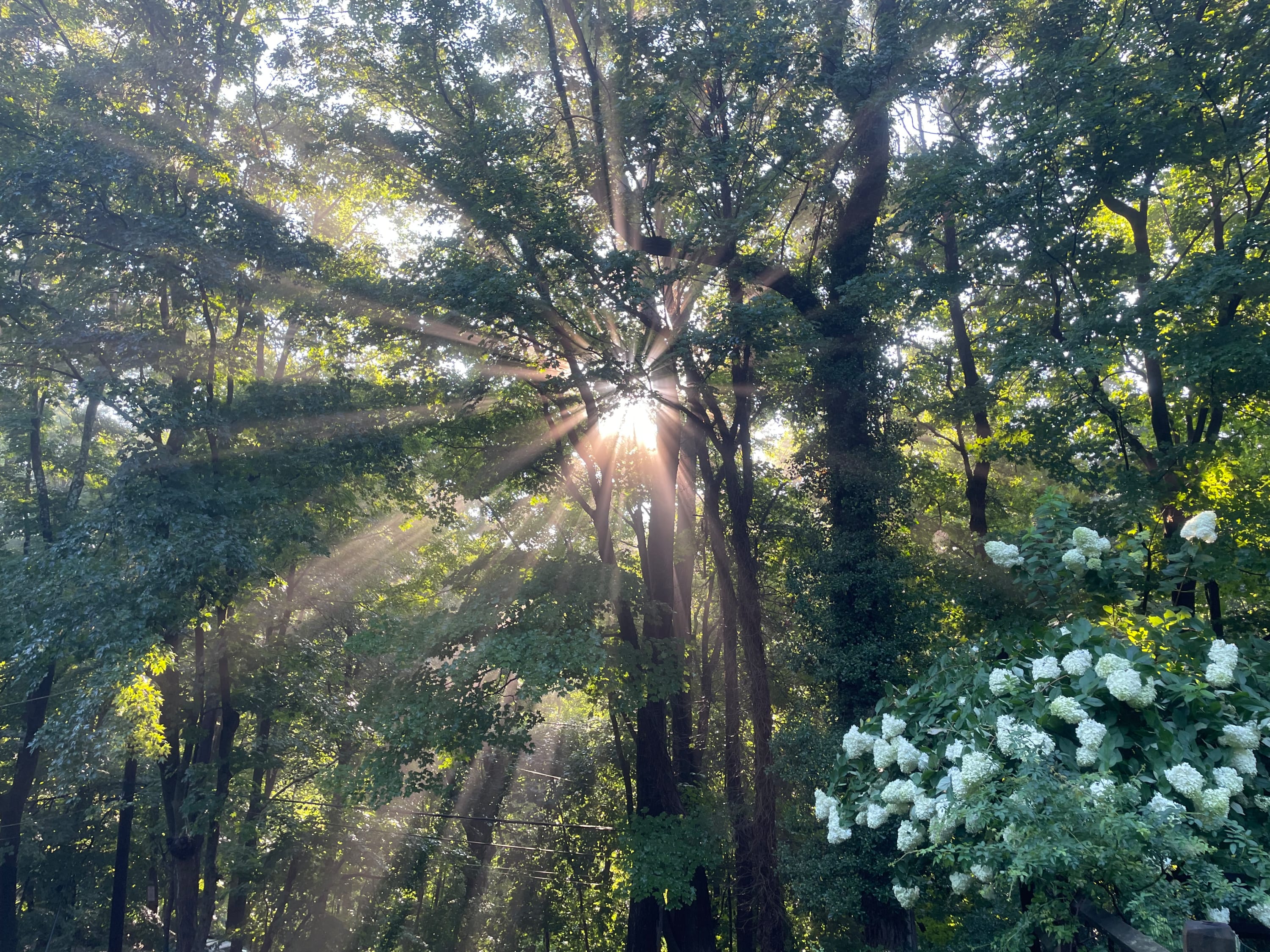 About Helen Dennis Studio