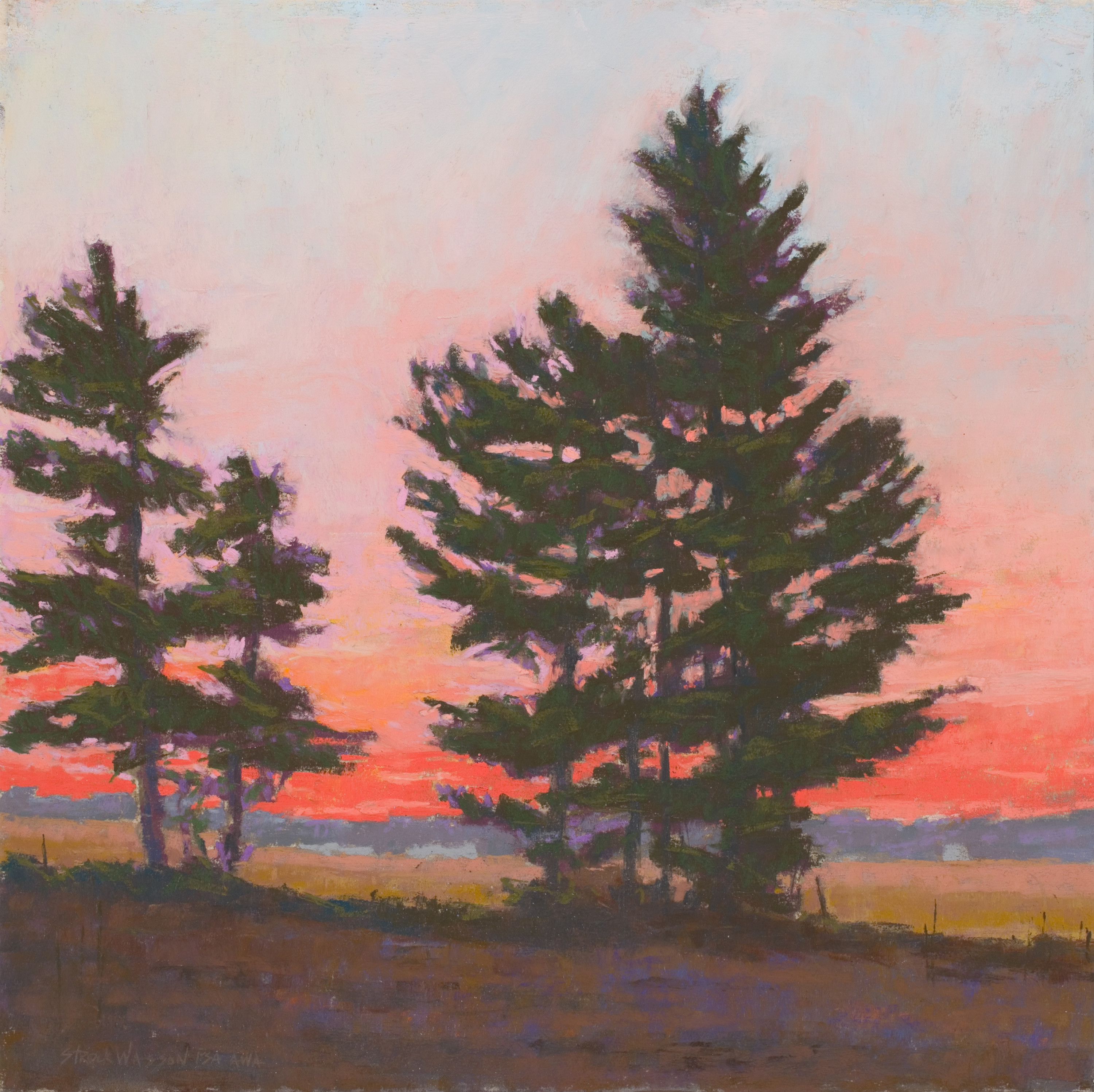 About carol strock wasson