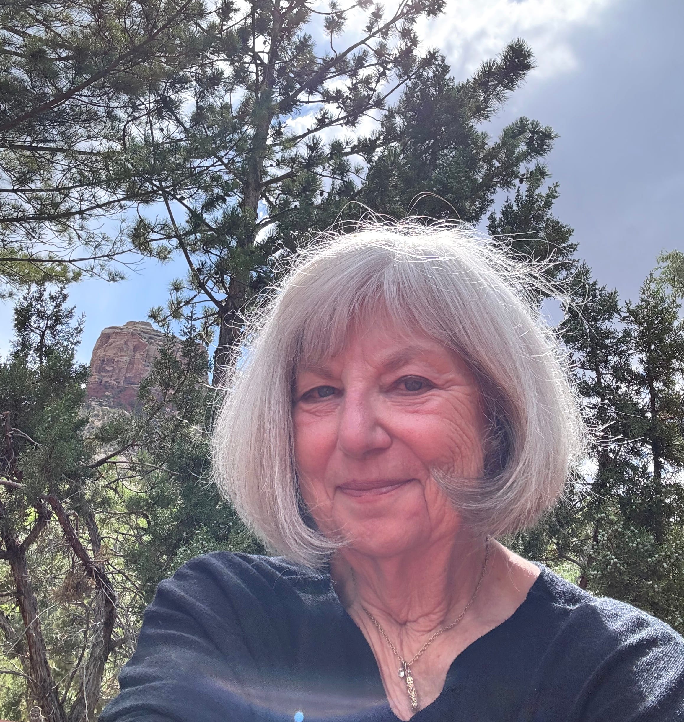About Gayle Gerson