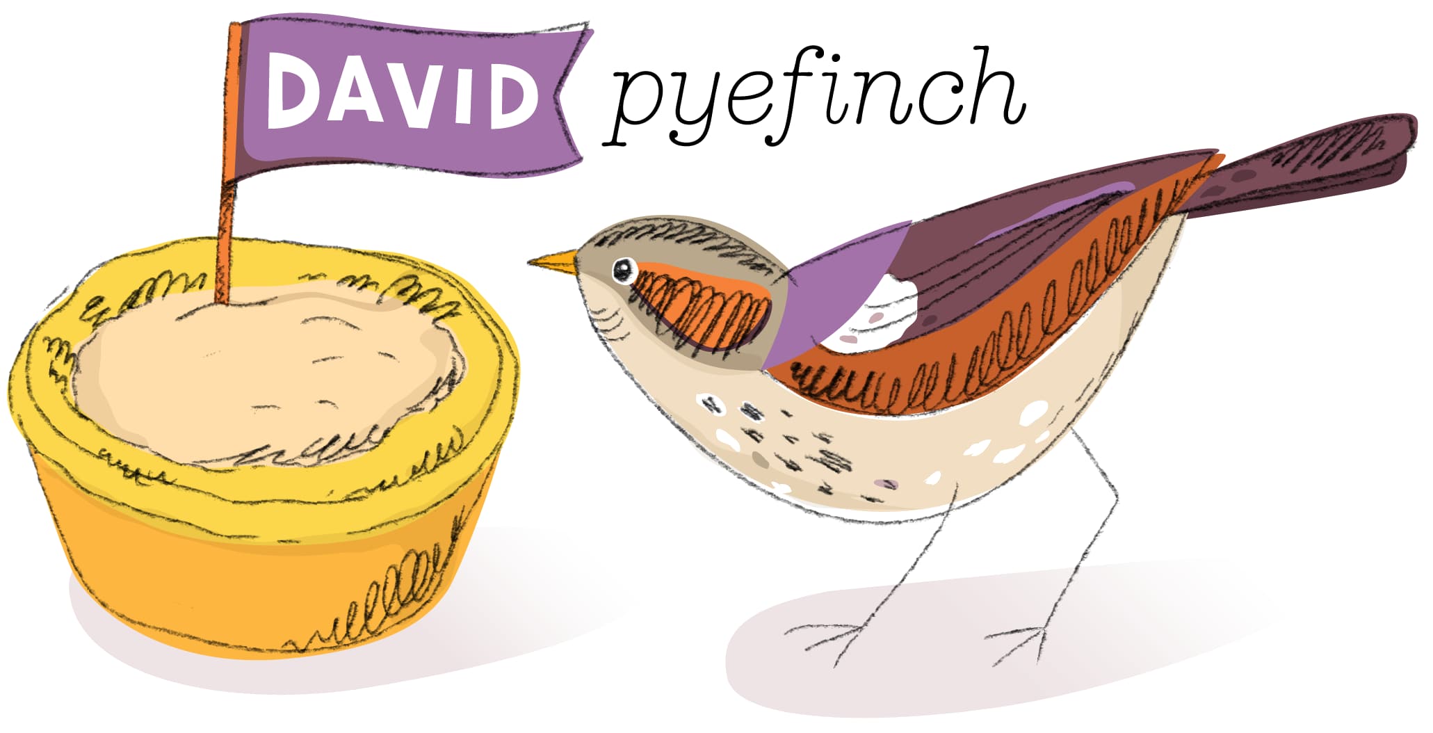 About David Pyefinch