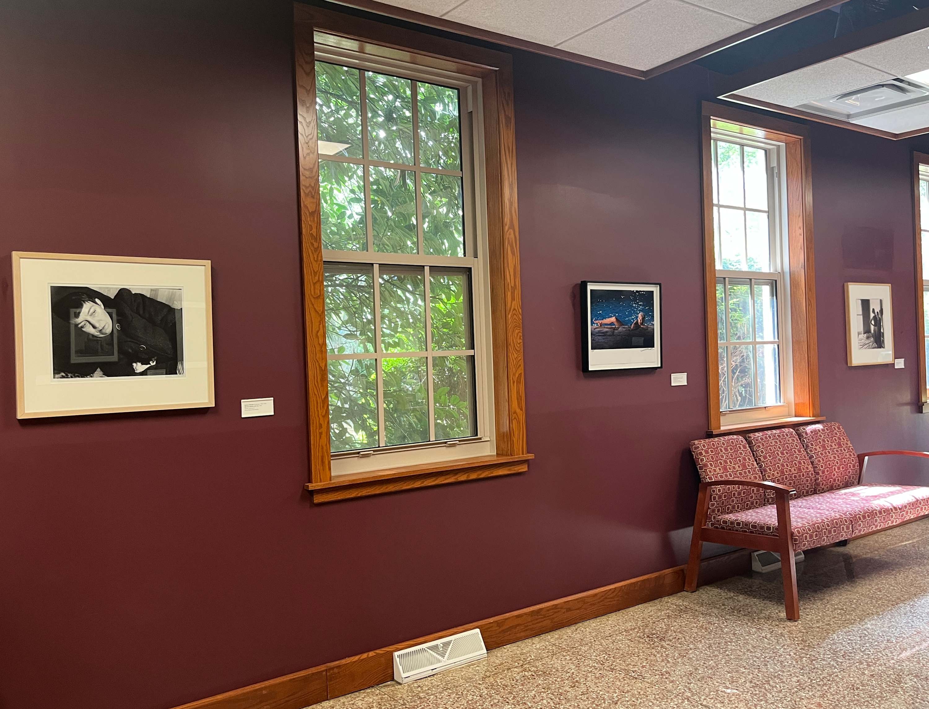 Exhibition Image 3.