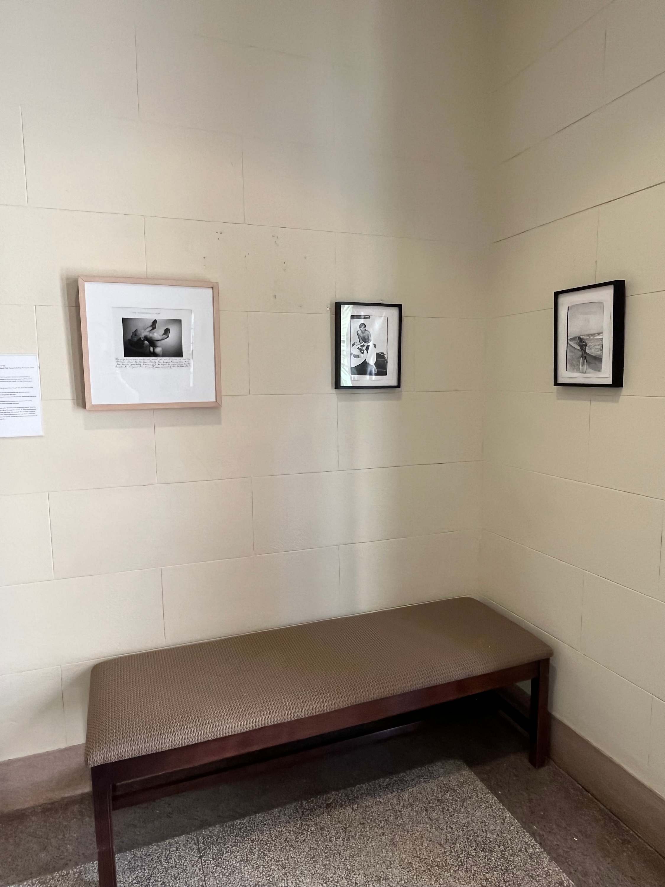 Exhibition Image 5.
