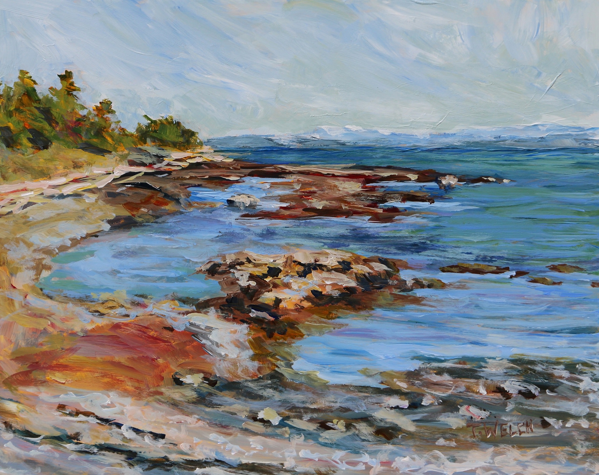The Bay At The Peterson Bench By Terrill Welch Artwork Archive