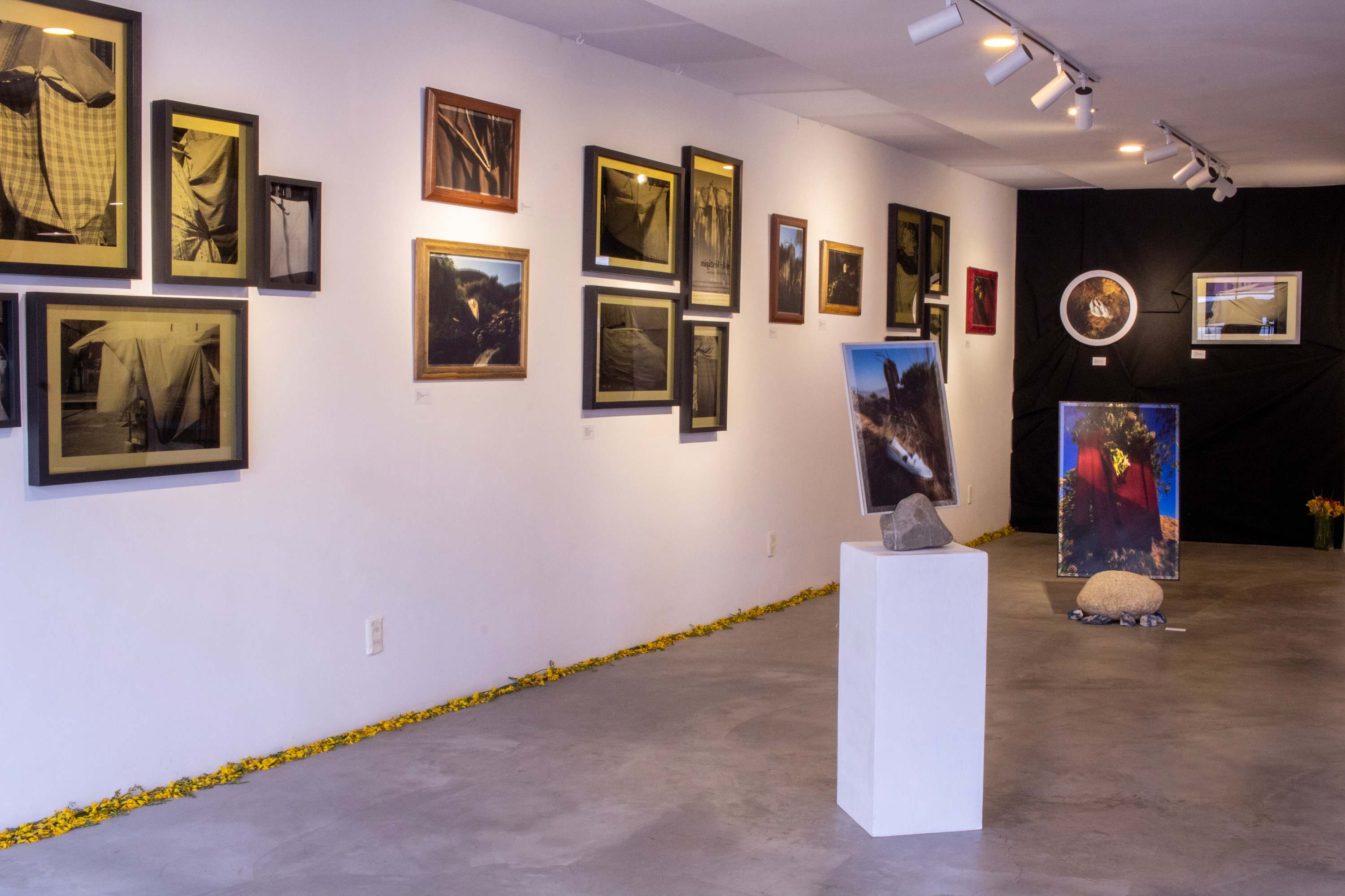 Exhibition Image 4.