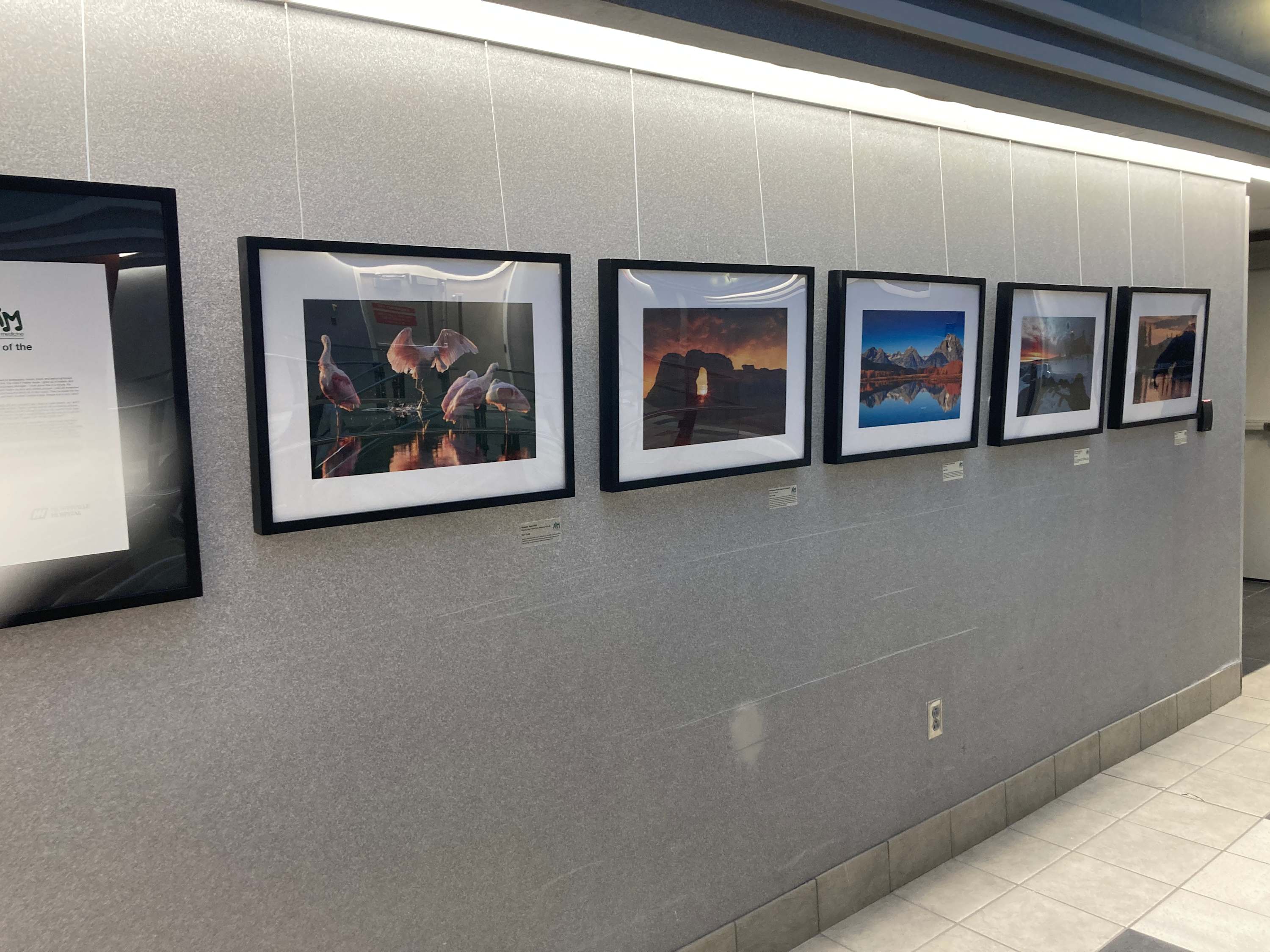 Exhibition Image 5.