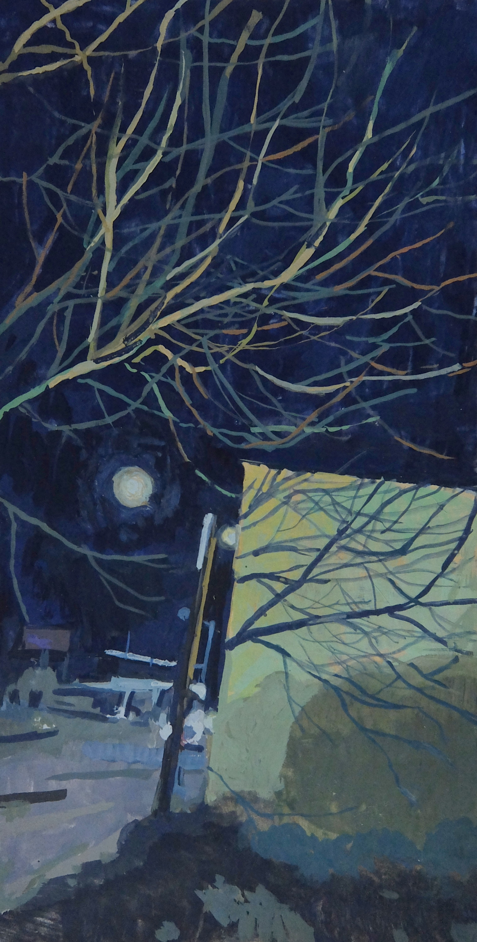 Tree Shadow By The Alibi Room By Amy Huddleston Artwork