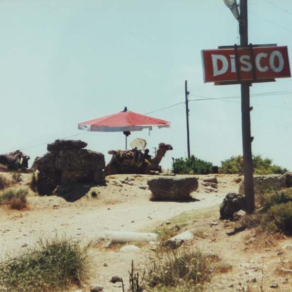 Camel Disco by April Price, Image 1.