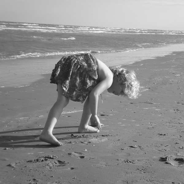 Seashells by Sara Wolfe, Image 1.