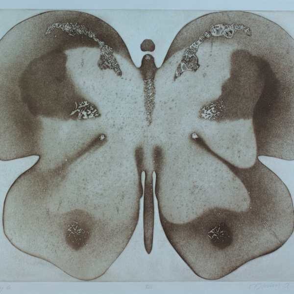 Butterfly 6 by Marion A. Epting, Image 1.