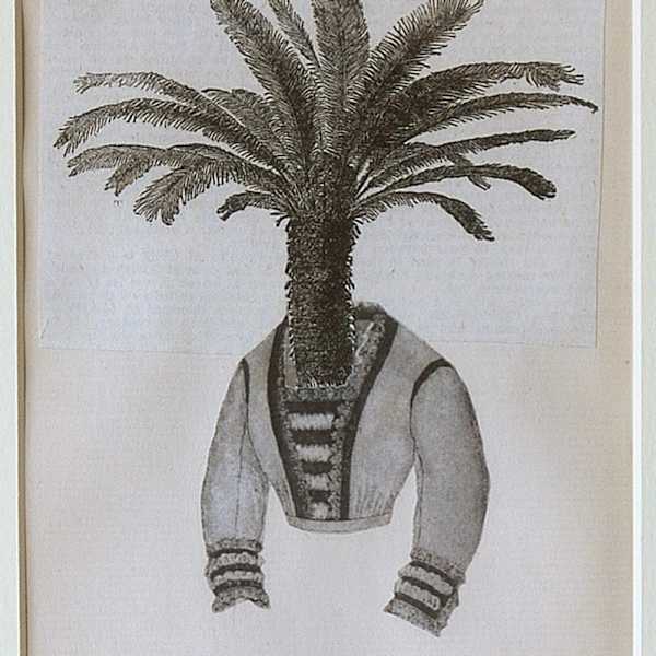 Tree by Danielle Rae Miller, Image 1.