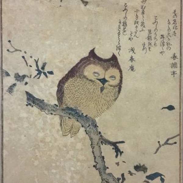 Horned Owl on Flowering Branch by Kubo Shunman, Image 1.