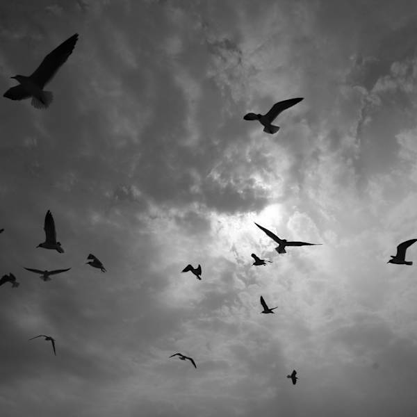 Heavenly by Donald Yap, Image 1.