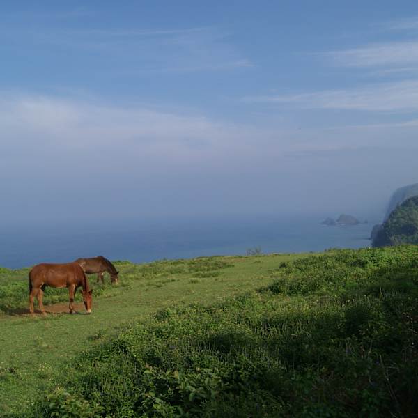 Mountain and Sea by Xin Ma, MD, Image 1.