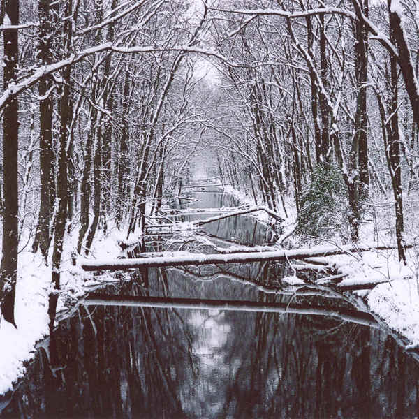 The Pocomoke by Charlotte Prado, Image 1.