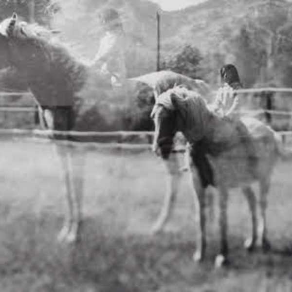 The Equestrian by Ansley West, Image 1.