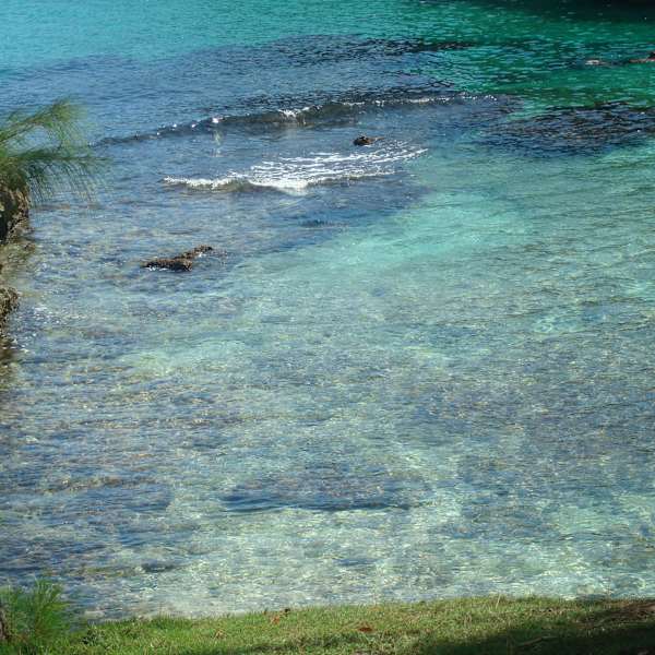 Changing Tides by Francia Marshall, Image 1.