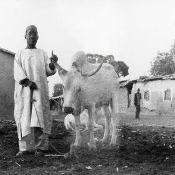 Masou Gembe by Roby Greenwald, Image 1.