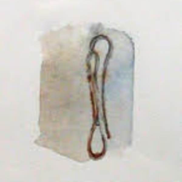 Found and Recorded: Paperclips 2 of 2 by Susie Winton, Image 1.
