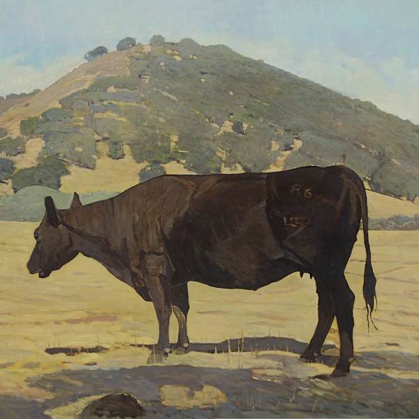Angus by Mark Kerckhoff, Image 1.