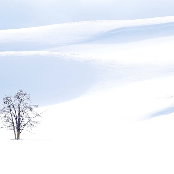 Winter in Yellowstone by Jan Snyder, Image 1.