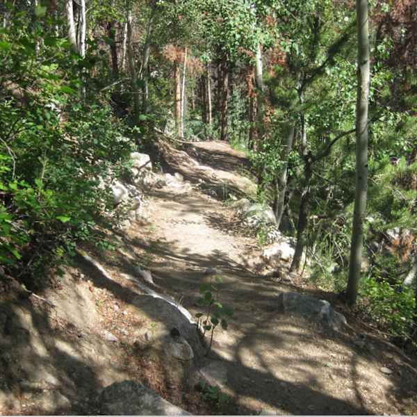 The Well Worn Path to the Top of Mt. Royal by Stefanie C. Barthmare, Image 1.