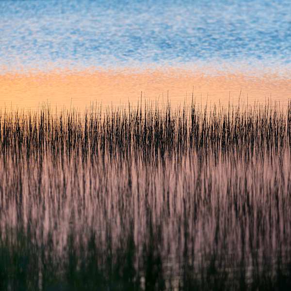 Gull Point Sticks at Dawn by Alexandra Nemeth, Image 1.
