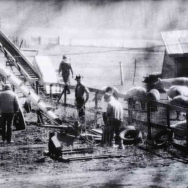 Dumont Farm, Iowa by Stephen Shames, Image 1.