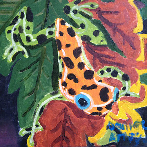 Tree Frog by Daniel Arroyo, Image 1.