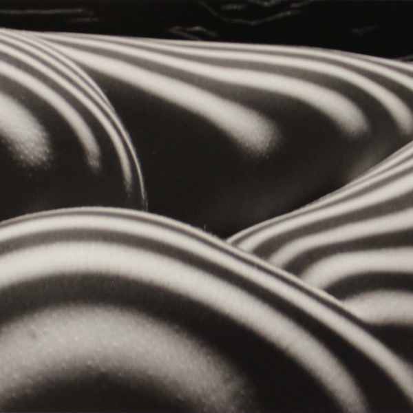 Zebra Nude, New York, 1997, from Nu Zèbre series by Lucien Clergue, Image 1.