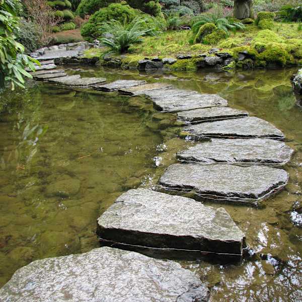 Across the Waters by Jodi Andersen, Image 1.