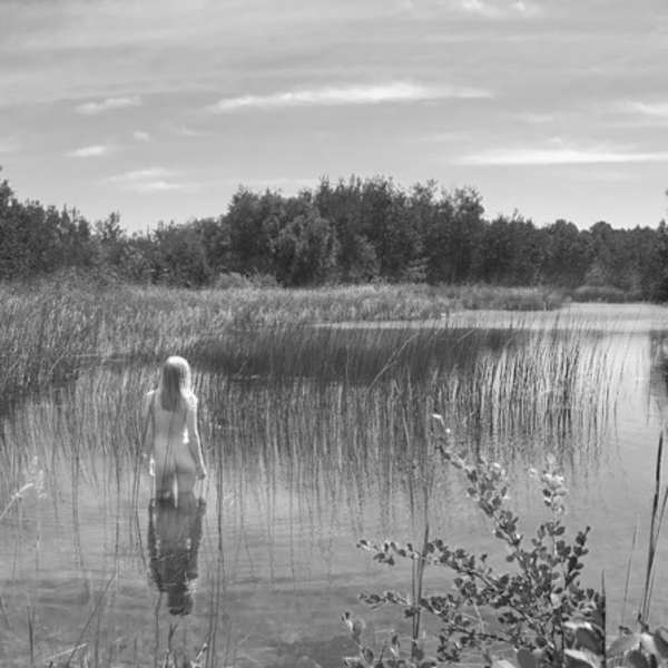 2913 - The Pond Absorbs Silently by Linda Vermeulen, Image 1.
