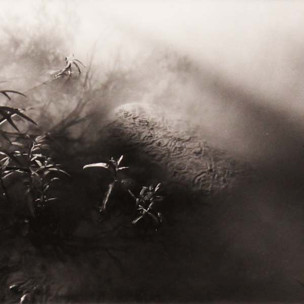 Ancient Calligraphy by Jack Kapsa, Image 1.
