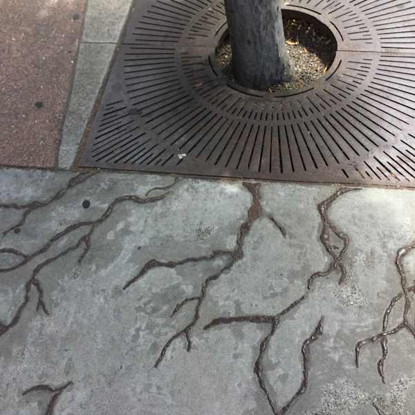 Tree Roots (North) by Rebecca A. Schwarz, Image 1.